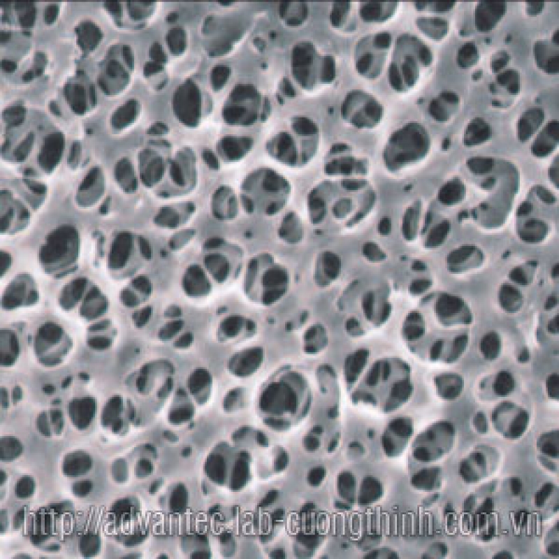 Cellulose Acetate Membrane Filters