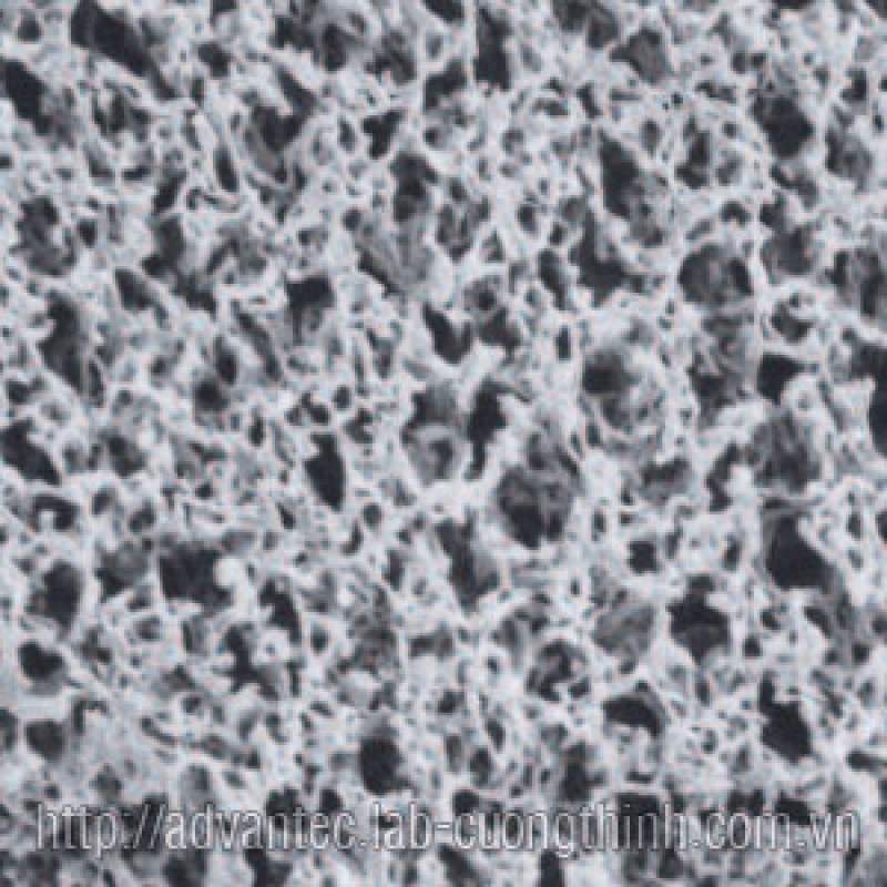 Nylon Membrane Filters